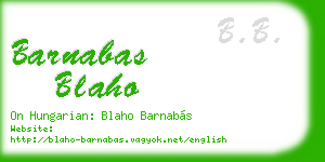 barnabas blaho business card